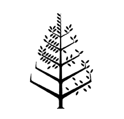 Four Seasons Hotel Austin Logo